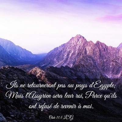 Picture 03 - Osée 11:5 LSG - Ils ne retourneront pas au pays d'Egypte; Mais - Bible Verse Picture
