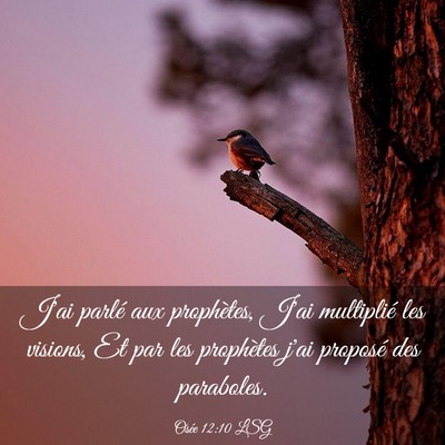 Picture 03 - Osée 12:10 LSG - J'ai parlé aux prophètes, J'ai multiplié les - Bible Verse Picture