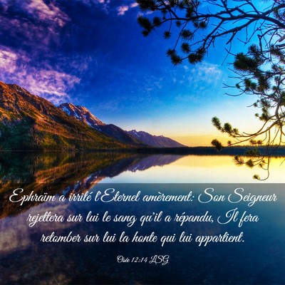 Picture 03 - Osée 12:14 LSG - Ephraïm a irrité l'Eternel amèrement: Son - Bible Verse Picture