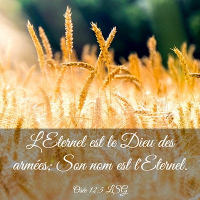 Picture 03 - Osée 12:5 LSG - L'Eternel est le Dieu des armées; Son nom est - Bible Verse Picture