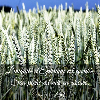Picture 03 - Osée 13:12 LSG - L'iniquité d'Ephraïm est gardée, Son péché - Bible Verse Picture
