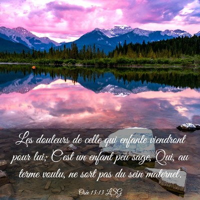 Picture 03 - Osée 13:13 LSG - Les douleurs de celle qui enfante viendront pour - Bible Verse Picture