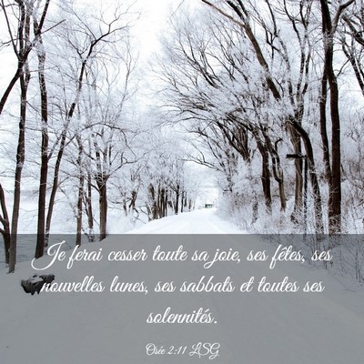 Picture 03 - Osée 2:11 LSG - Je ferai cesser toute sa joie, ses fêtes, ses - Bible Verse Picture