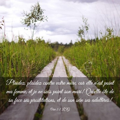 Picture 03 - Osée 2:2 LSG - Plaidez, plaidez contre votre mère, car elle - Bible Verse Picture