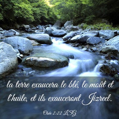 Picture 03 - Osée 2:22 LSG - la terre exaucera le blé, le moût et l'huile, - Bible Verse Picture