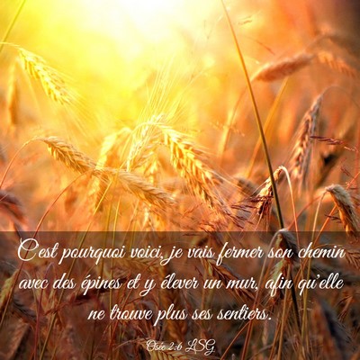 Picture 03 - Osée 2:6 LSG - C'est pourquoi voici, je vais fermer son chemin - Bible Verse Picture