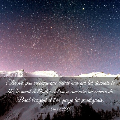 Picture 03 - Osée 2:8 LSG - Elle n'a pas reconnu que c'était moi qui lui - Bible Verse Picture