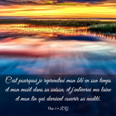 Picture 03 - Osée 2:9 LSG - C'est pourquoi je reprendrai mon blé en son - Bible Verse Picture