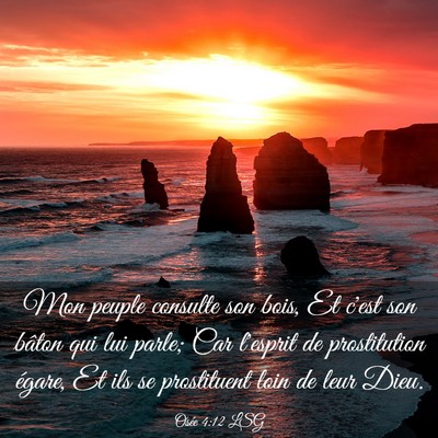 Picture 03 - Osée 4:12 LSG - Mon peuple consulte son bois, Et c'est son bâton - Bible Verse Picture