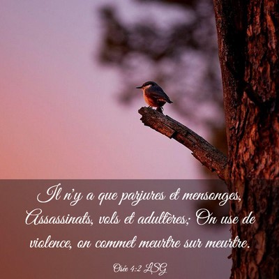 Picture 03 - Osée 4:2 LSG - Il n'y a que parjures et mensonges, Assassinats, - Bible Verse Picture