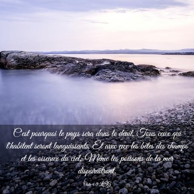 Picture 03 - Osée 4:3 LSG - C'est pourquoi le pays sera dans le deuil, Tous - Bible Verse Picture