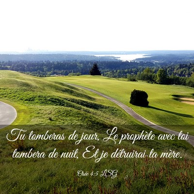 Picture 03 - Osée 4:5 LSG - Tu tomberas de jour, Le prophète avec toi - Bible Verse Picture