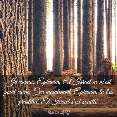 Picture 03 - Osée 5:3 LSG - Je connais Ephraïm, Et Israël ne m'est point - Bible Verse Picture