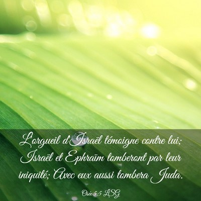 Picture 03 - Osée 5:5 LSG - L'orgueil d'Israël témoigne contre lui; Israël - Bible Verse Picture