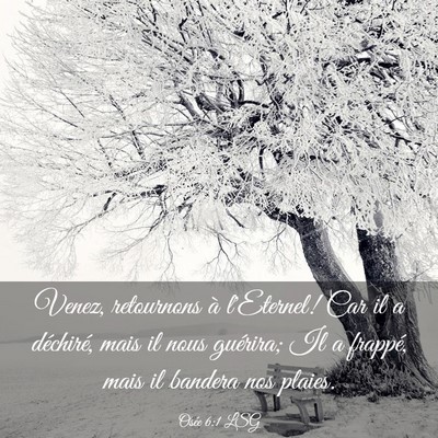 Picture 03 - Osée 6:1 LSG - Venez, retournons à l'Eternel! Car il a - Bible Verse Picture