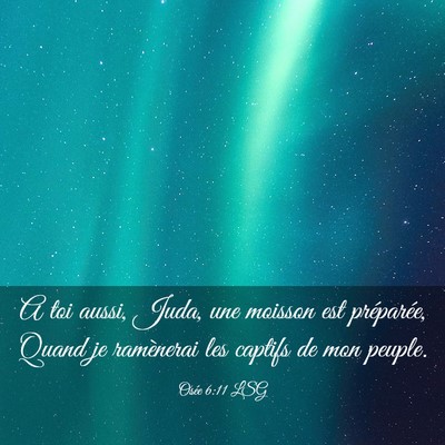 Picture 03 - Osée 6:11 LSG - A toi aussi, Juda, une moisson est préparée, - Bible Verse Picture