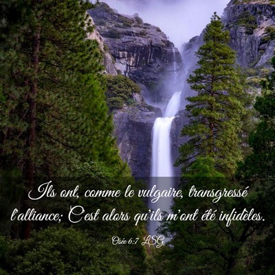 Picture 03 - Osée 6:7 LSG - Ils ont, comme le vulgaire, transgressé - Bible Verse Picture