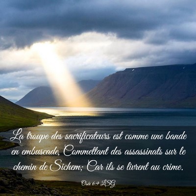 Picture 03 - Osée 6:9 LSG - La troupe des sacrificateurs est comme une bande - Bible Verse Picture