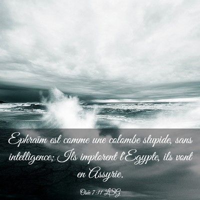 Picture 03 - Osée 7:11 LSG - Ephraïm est comme une colombe stupide, sans - Bible Verse Picture