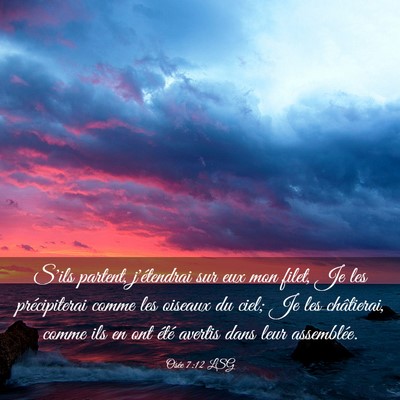 Picture 03 - Osée 7:12 LSG - S'ils partent, j'étendrai sur eux mon filet, Je - Bible Verse Picture
