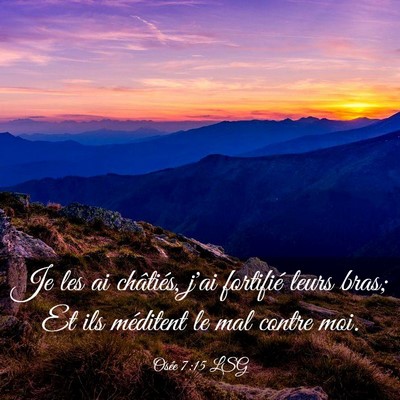 Picture 03 - Osée 7:15 LSG - Je les ai châtiés, j'ai fortifié leurs bras; - Bible Verse Picture