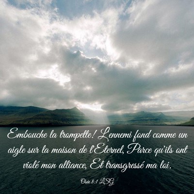 Picture 03 - Osée 8:1 LSG - Embouche la trompette! L'ennemi fond comme un - Bible Verse Picture