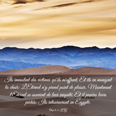 Picture 03 - Osée 8:13 LSG - Ils immolent des victimes qu'ils m'offrent, Et - Bible Verse Picture