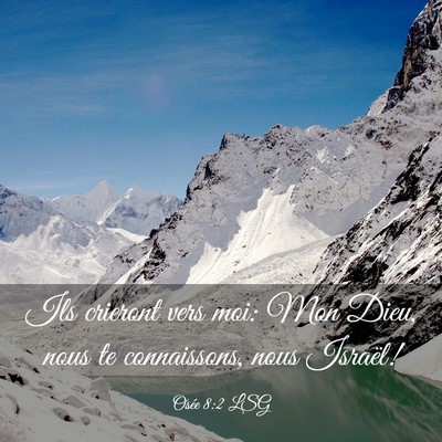 Picture 03 - Osée 8:2 LSG - Ils crieront vers moi: Mon Dieu, nous te - Bible Verse Picture
