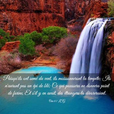 Picture 03 - Osée 8:7 LSG - Puisqu'ils ont semé du vent, ils moissonneront - Bible Verse Picture
