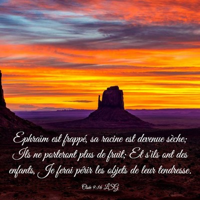 Picture 03 - Osée 9:16 LSG - Ephraïm est frappé, sa racine est devenue - Bible Verse Picture
