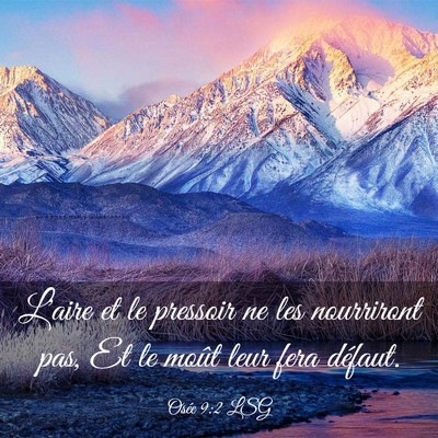Picture 03 - Osée 9:2 LSG - L'aire et le pressoir ne les nourriront pas, Et - Bible Verse Picture