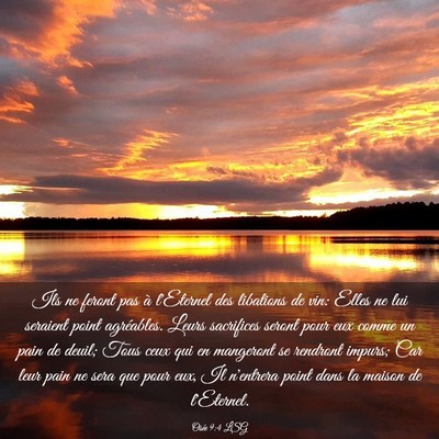 Picture 03 - Osée 9:4 LSG - Ils ne feront pas à l'Eternel des libations de - Bible Verse Picture