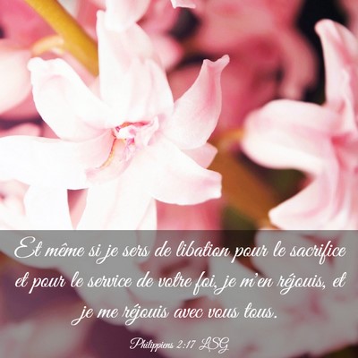 Picture 03 - Philippiens 2:17 LSG - Et même si je sers de libation pour le sacrifice - Bible Verse Picture