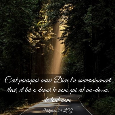 Picture 03 - Philippiens 2:9 LSG - C'est pourquoi aussi Dieu l'a souverainement - Bible Verse Picture