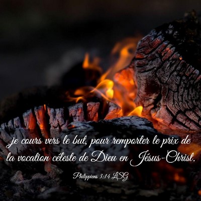 Picture 03 - Philippiens 3:14 LSG - je cours vers le but, pour remporter le prix de - Bible Verse Picture