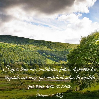 Picture 03 - Philippiens 3:17 LSG - Soyez tous mes imitateurs, frères, et portez les - Bible Verse Picture