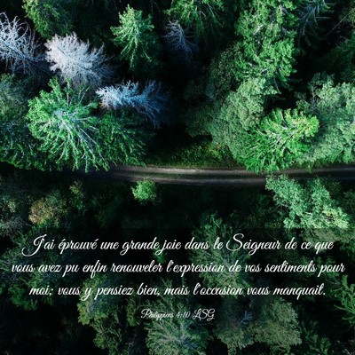 Picture 03 - Philippiens 4:10 LSG - J'ai éprouvé une grande joie dans le Seigneur - Bible Verse Picture