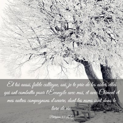 Picture 03 - Philippiens 4:3 LSG - Et toi aussi, fidèle collègue, oui, je te prie - Bible Verse Picture