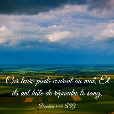 Picture 03 - Proverbes 1:16 LSG - Car leurs pieds courent au mal, Et ils ont hâte - Bible Verse Picture