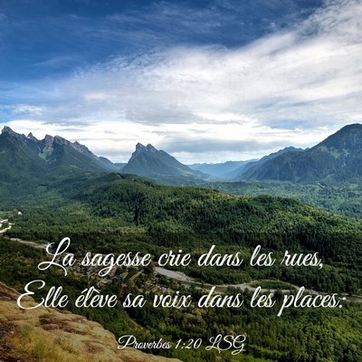 Picture 03 - Proverbes 1:20 LSG - La sagesse crie dans les rues, Elle élève sa - Bible Verse Picture