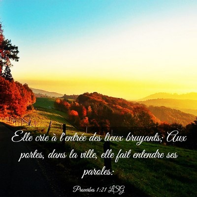 Picture 03 - Proverbes 1:21 LSG - Elle crie à l'entrée des lieux bruyants; Aux - Bible Verse Picture