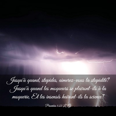 Picture 03 - Proverbes 1:22 LSG - Jusqu'à quand, stupides, aimerez-vous la - Bible Verse Picture
