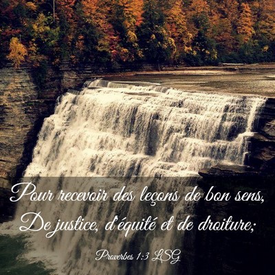 Picture 03 - Proverbes 1:3 LSG - Pour recevoir des leçons de bon sens, De - Bible Verse Picture