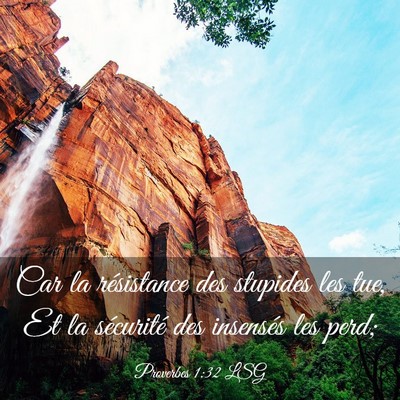 Picture 03 - Proverbes 1:32 LSG - Car la résistance des stupides les tue, Et la - Bible Verse Picture