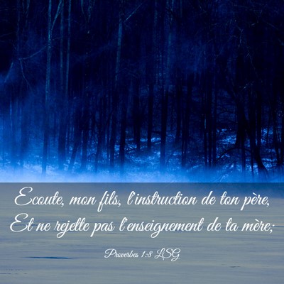 Picture 03 - Proverbes 1:8 LSG - Ecoute, mon fils, l'instruction de ton père, Et - Bible Verse Picture