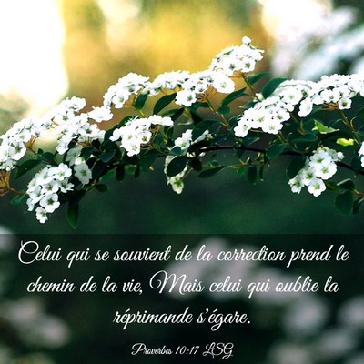 Picture 03 - Proverbes 10:17 LSG - Celui qui se souvient de la correction prend le - Bible Verse Picture
