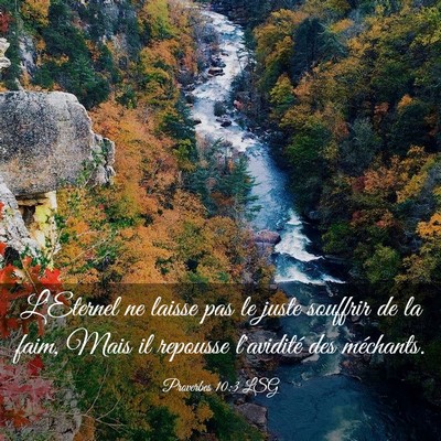 Picture 03 - Proverbes 10:3 LSG - L'Eternel ne laisse pas le juste souffrir de la - Bible Verse Picture