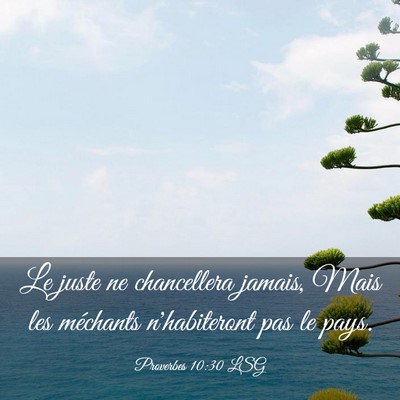 Picture 03 - Proverbes 10:30 LSG - Le juste ne chancellera jamais, Mais les - Bible Verse Picture