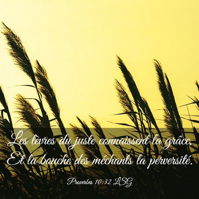 Picture 03 - Proverbes 10:32 LSG - Les lèvres du juste connaissent la grâce, Et la - Bible Verse Picture