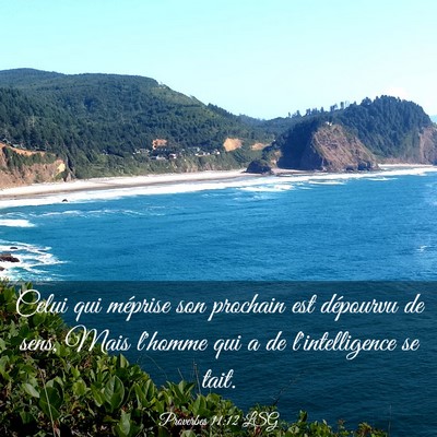 Picture 03 - Proverbes 11:12 LSG - Celui qui méprise son prochain est dépourvu de - Bible Verse Picture